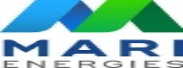 Mari Logo